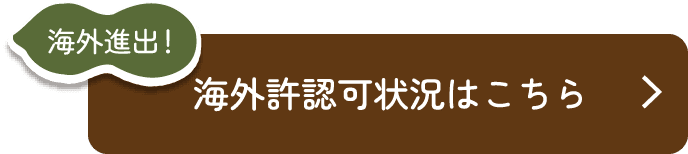 海外進出！海外許認可状況はこちら